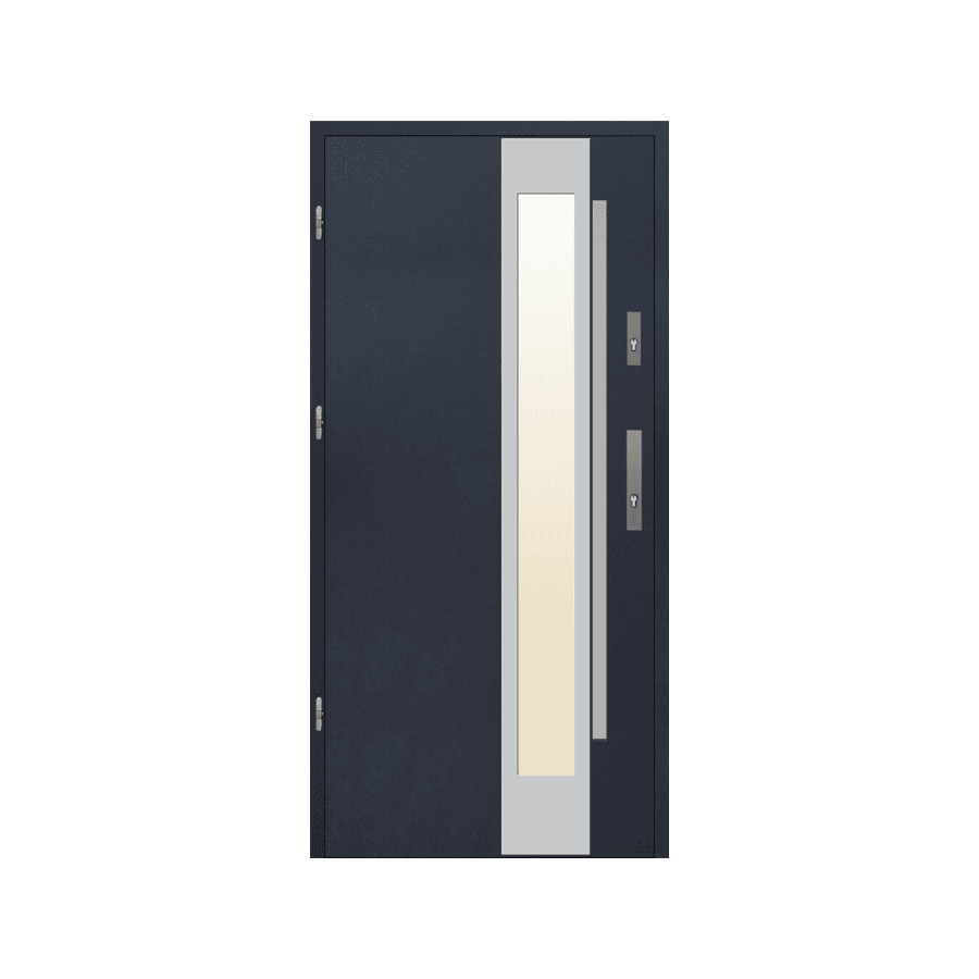 Glass and steel front door – stylish, strong, and light-enhancing.