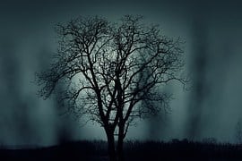 nacht