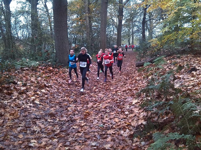 Start '78 Bosloop 15 nov 2014 1