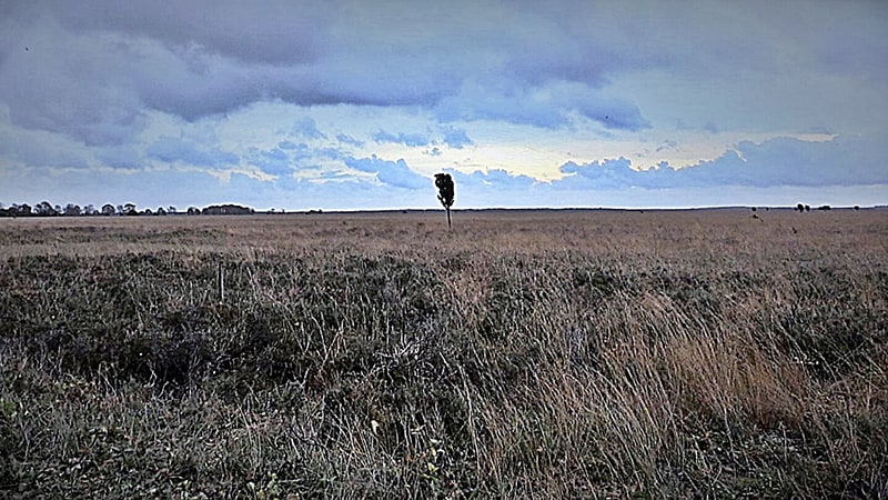 Jan Menger besteedt in zijn regiofilms aandacht aan de prachtige natuur rondom Lhee