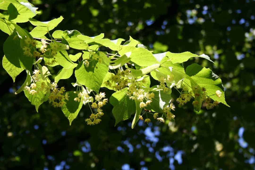 image-.jpg