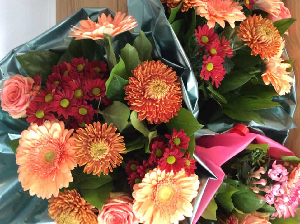BosBloemen-EigenFoto