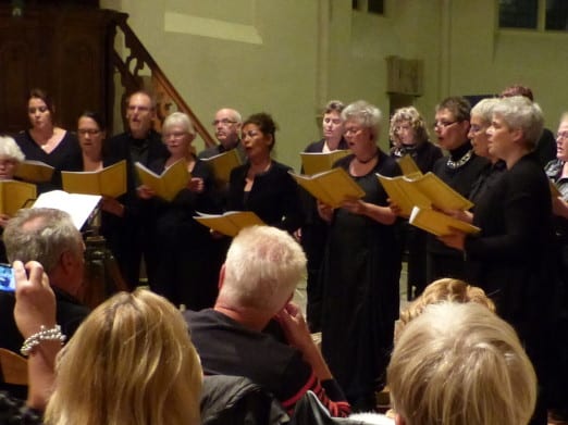Concert_Matricale_2013_10_261