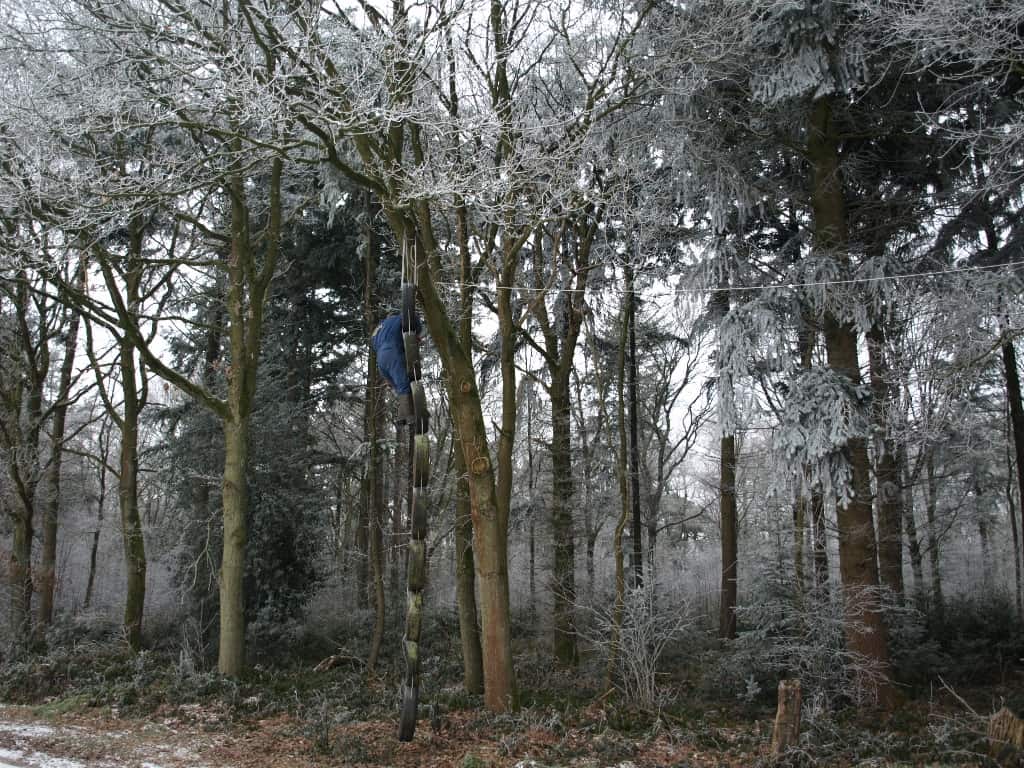 achtergrond-1024x768
