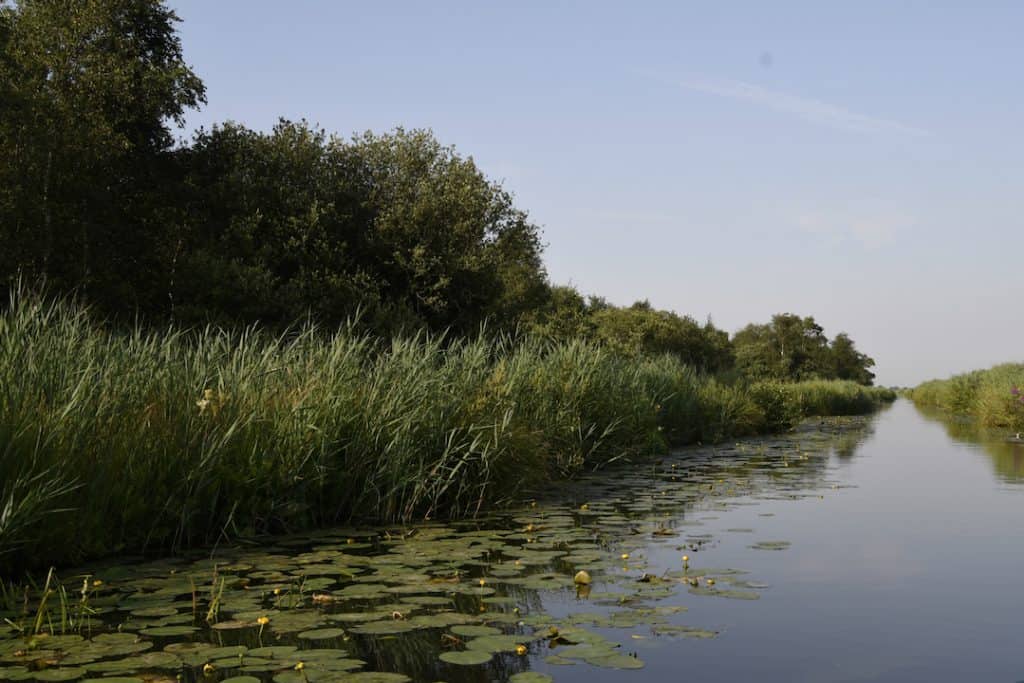 Je hoofd leeg in De Weerribben
