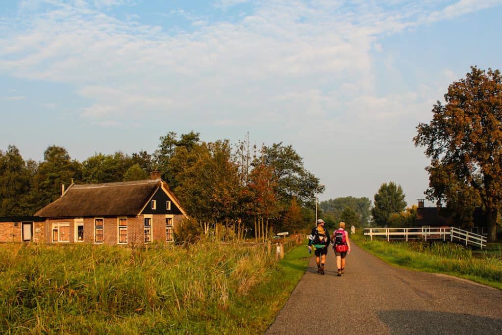 Weerribben-Wieden  Wandel3Daagse gaat over bijzondere paden