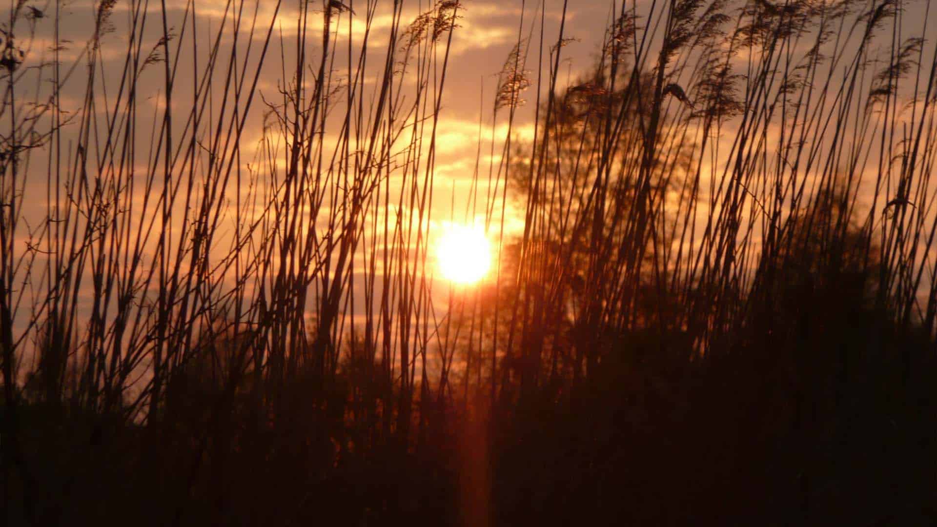 avond-zon