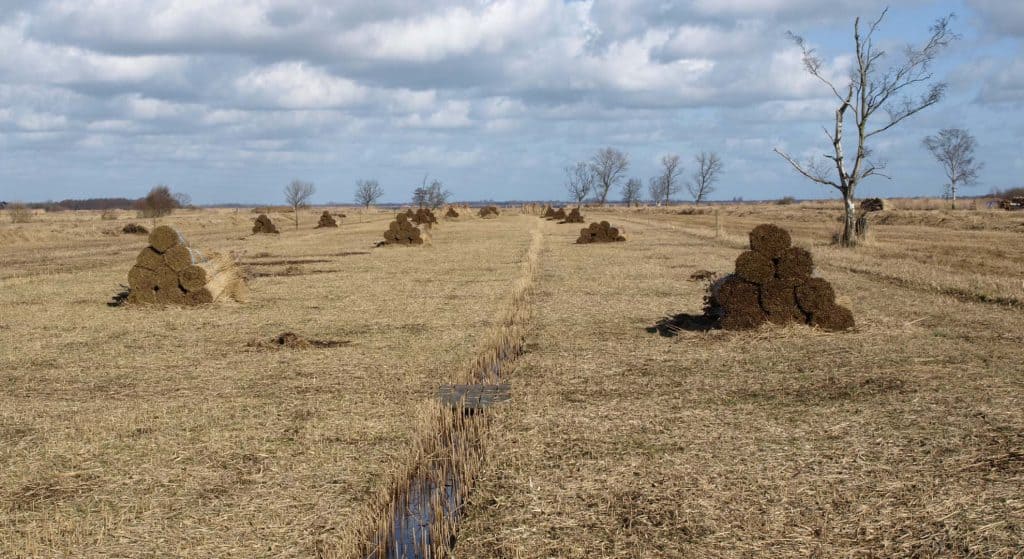 CO2 verwijderen door injecteren van maaisel uit De Wieden