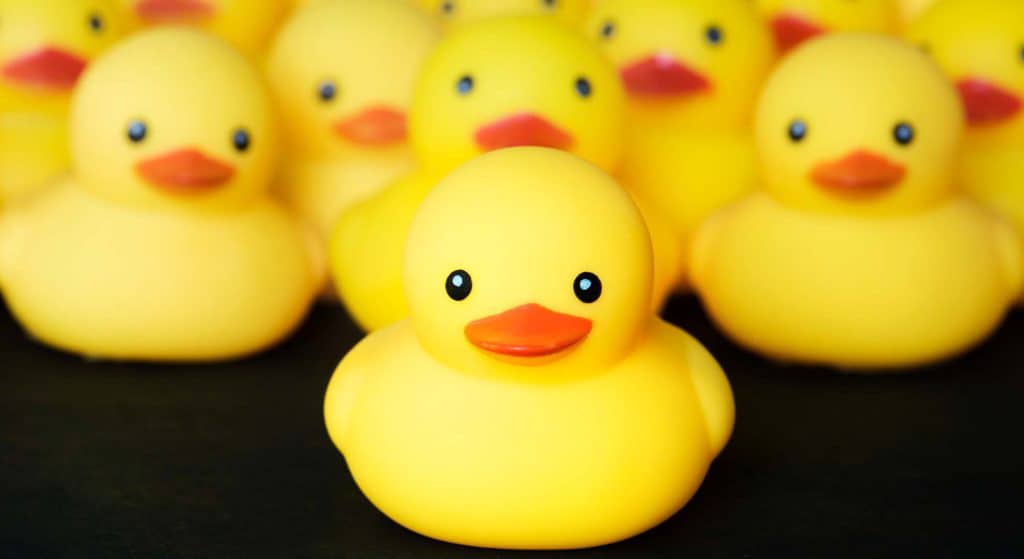 Badeendjesrace aanstaande zaterdag 16 juli