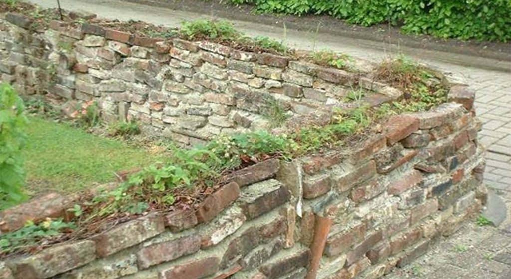 Groene vingers gezocht