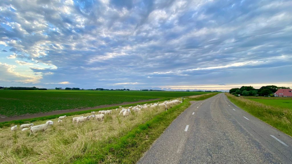 Zonneparkdiscussie in Blokzijl: “Wij zitten er straks 25 jaar aan vast”