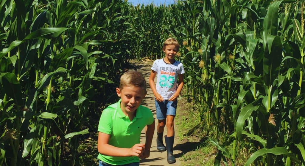 Maisdoolhof en Blote Voetenpad Blokzijl hele zomer geopend