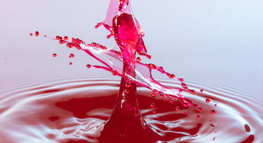 Zomerexpositie ‘Zoom in!’ in de Kleine Kerk Steenwijk