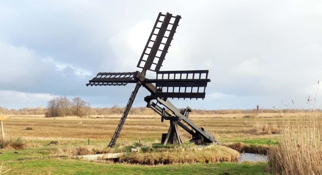 Ontdek de fora en fauna van de Weerribben per fiets