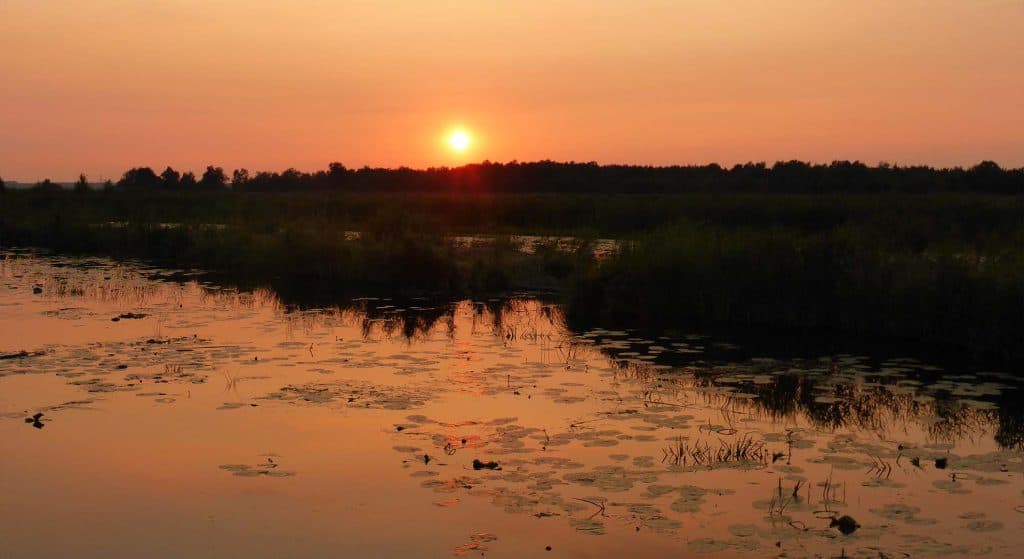 Beleef de zonsondergang bij Staatsbosbeheer in de Weerribben