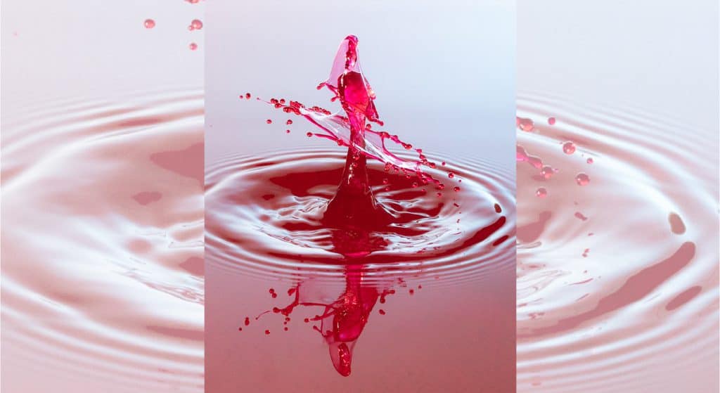 Expositie ‘Ode aan het Water’ in Villa Rams Woerthe