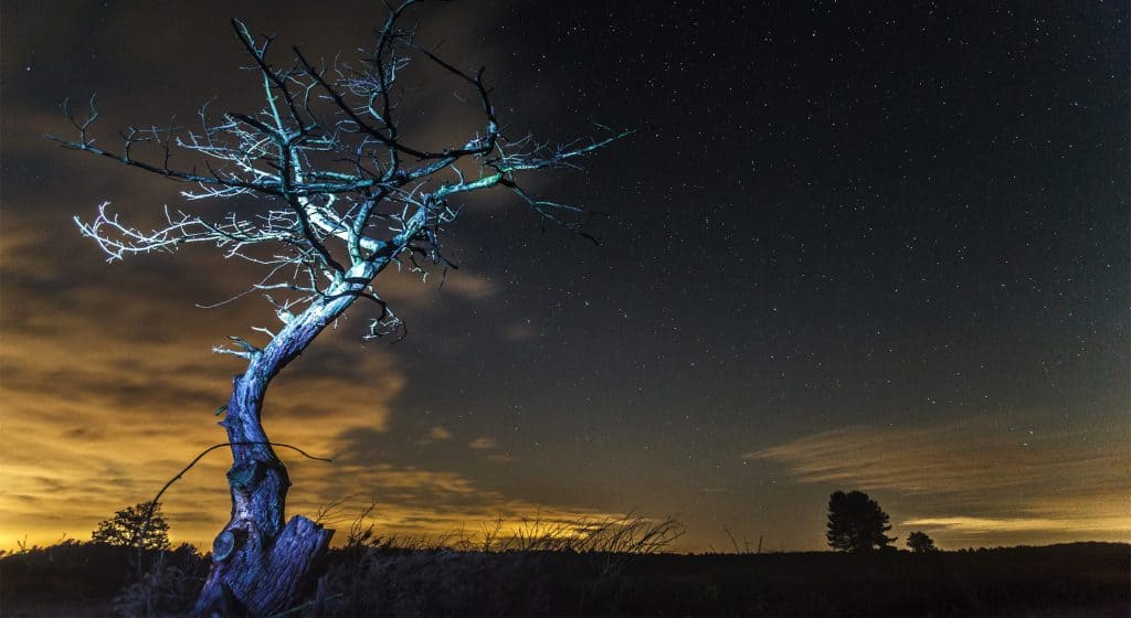 Beleef de Nacht van de Nacht op 29 oktober in de Weerribben-Wieden