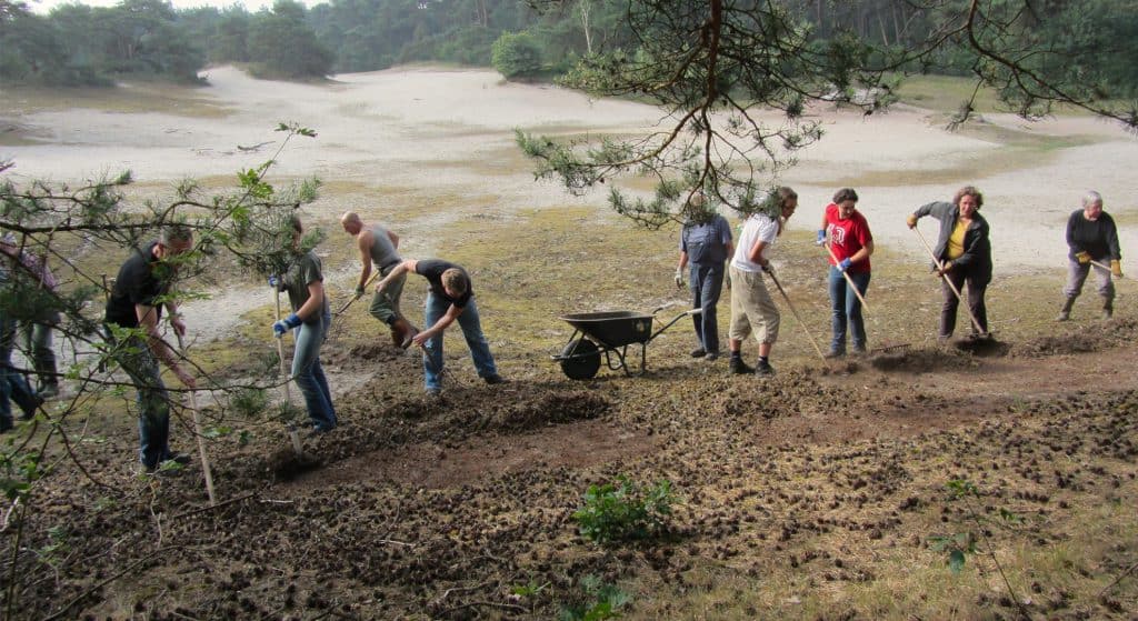 Natuurwerkdag 4 & 5 november 2022, doe mee!