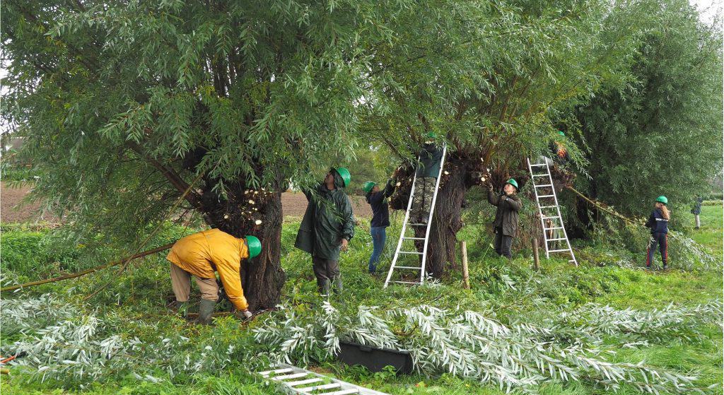 Doe mee! Natuurwerkdag op 4 & 5 november 2022