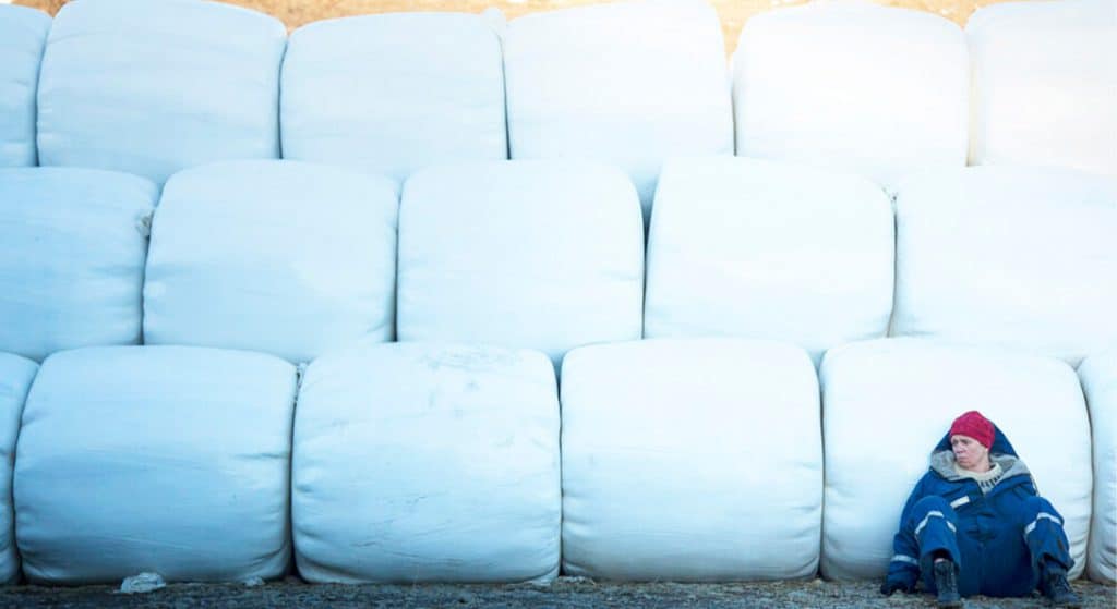 Film in t Lam: Mjólk