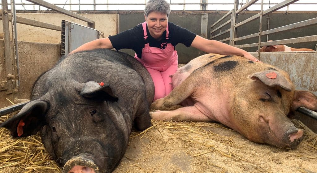 Met noabers de boer op