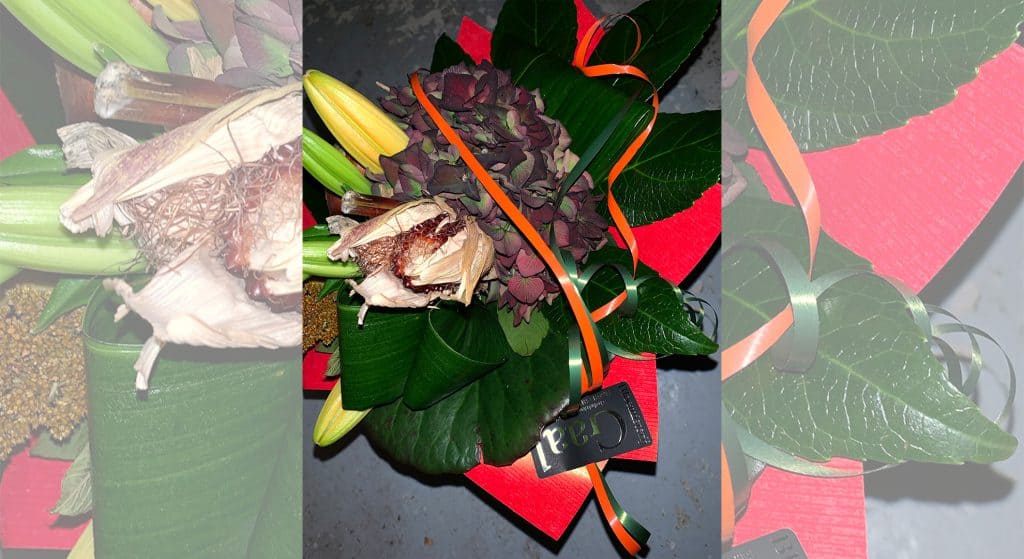 Dag van de mantelzorg – welke mantelzorger wil jij laten verrassen?