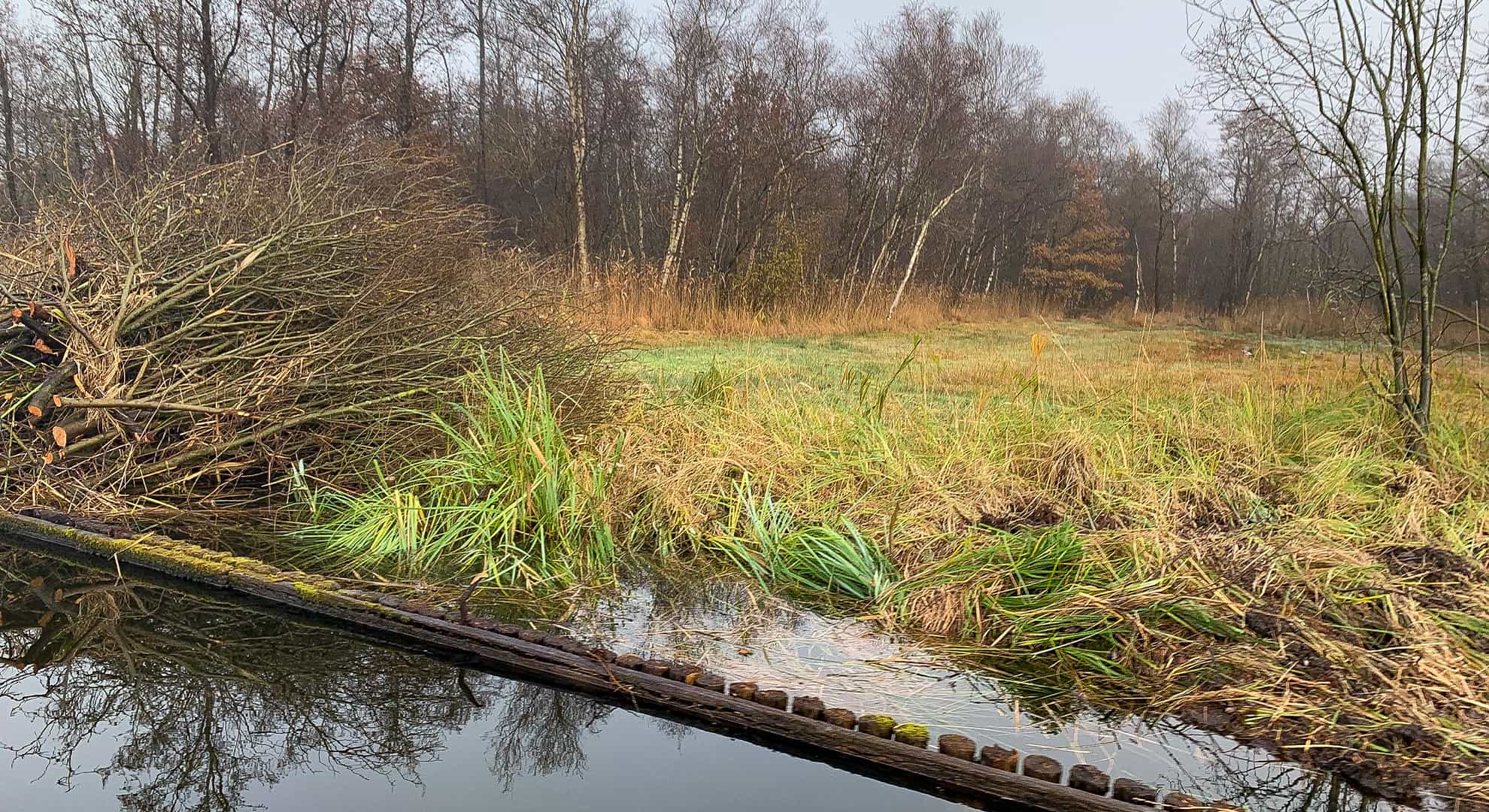 opknapbeurt vispaaiplekken Weerribben