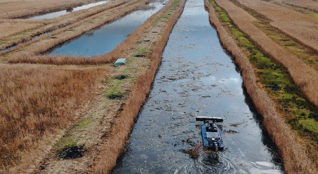Gezamenlijke strijd tegen ongelijkbladig vederkruid