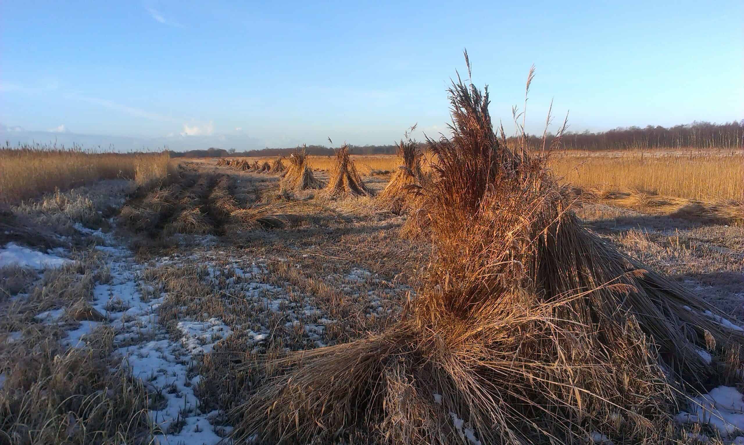 rietschoven winter