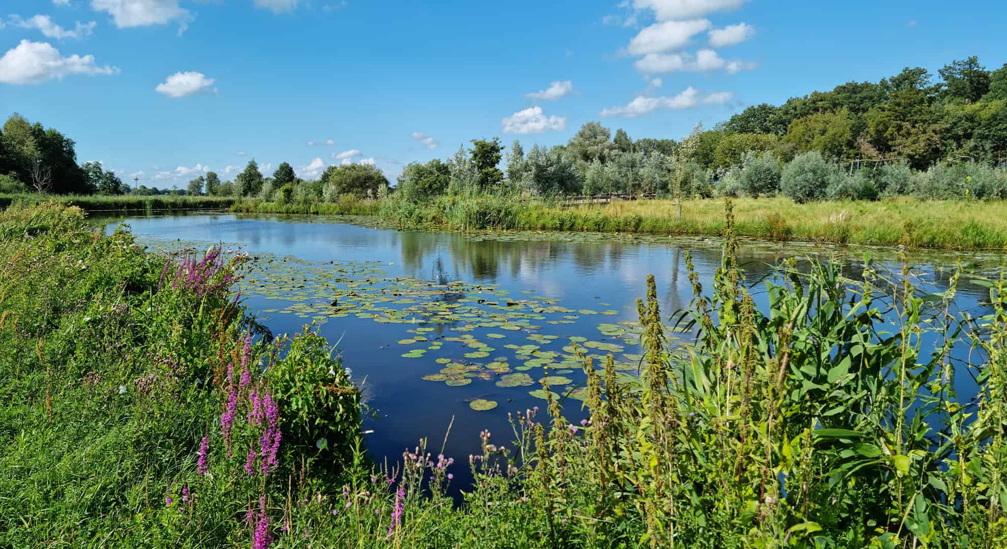 Droogte WDODelta