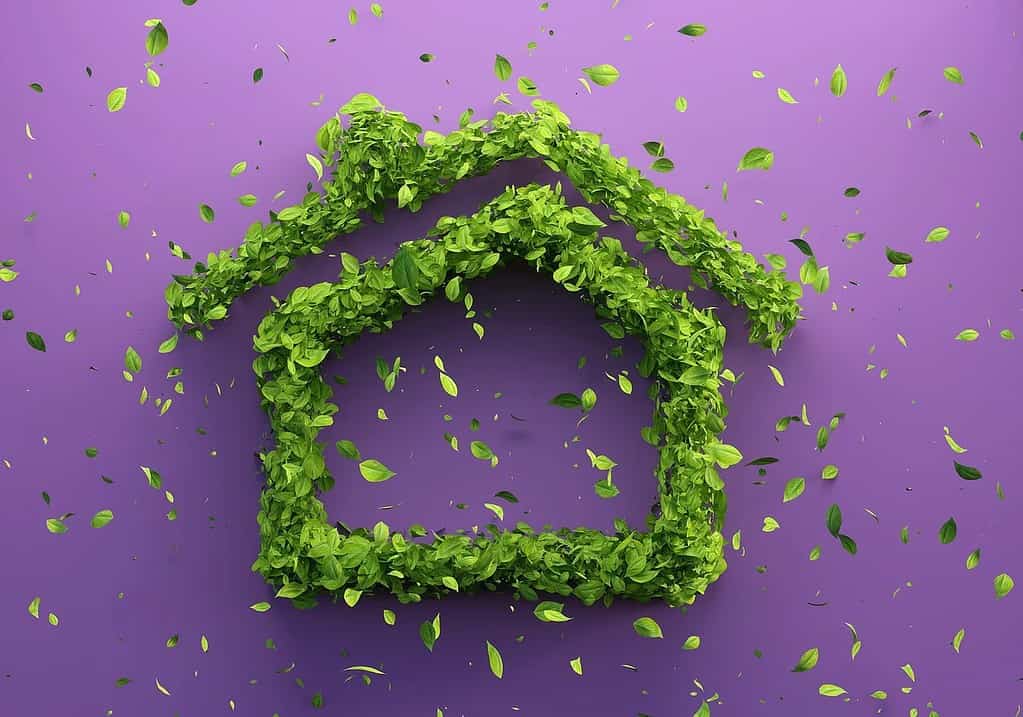 Kopwijzer zaterdag 1 november 2025