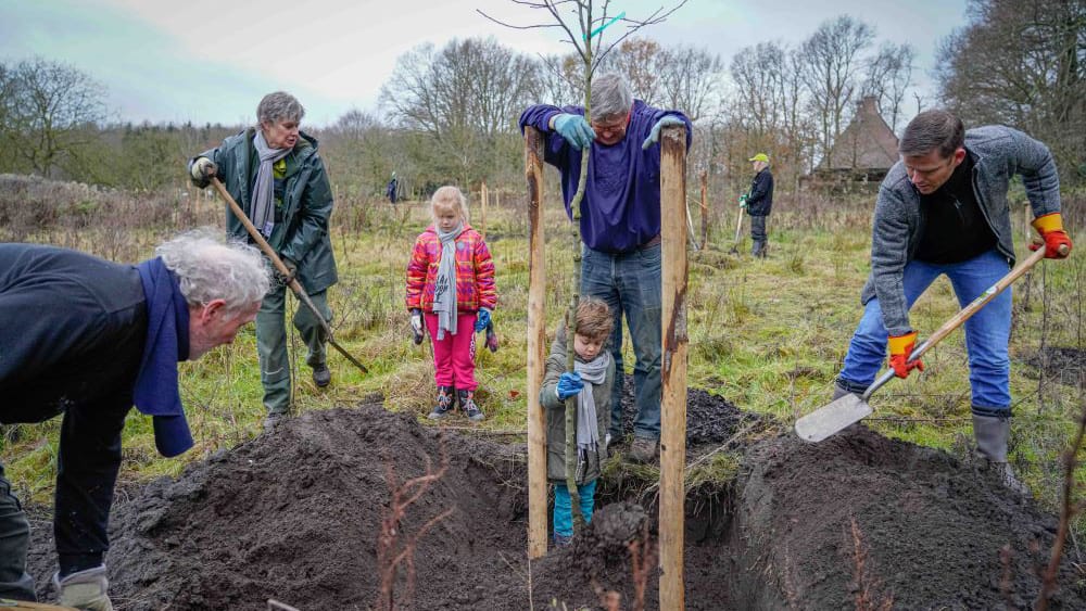 2019_12_07_PlanBoom_3_fotoJackTillmanns