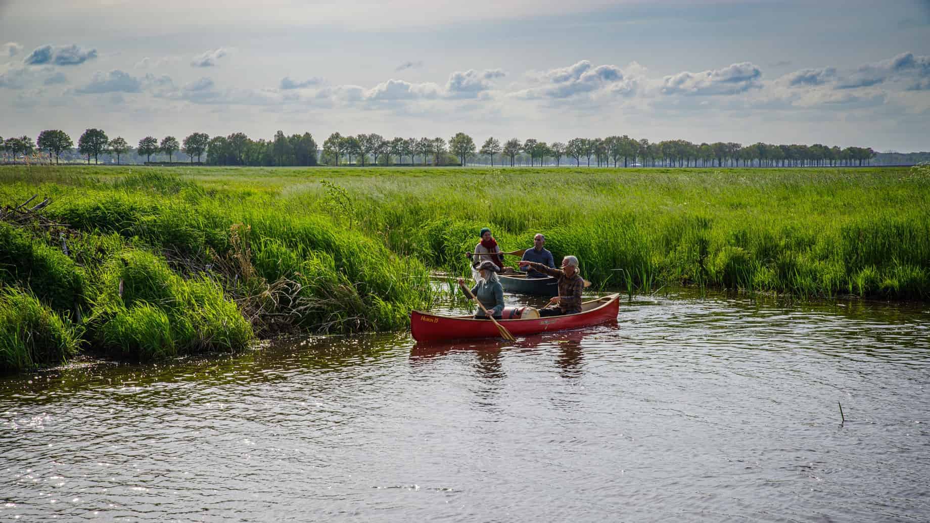 in-het-wilde-weg-45891