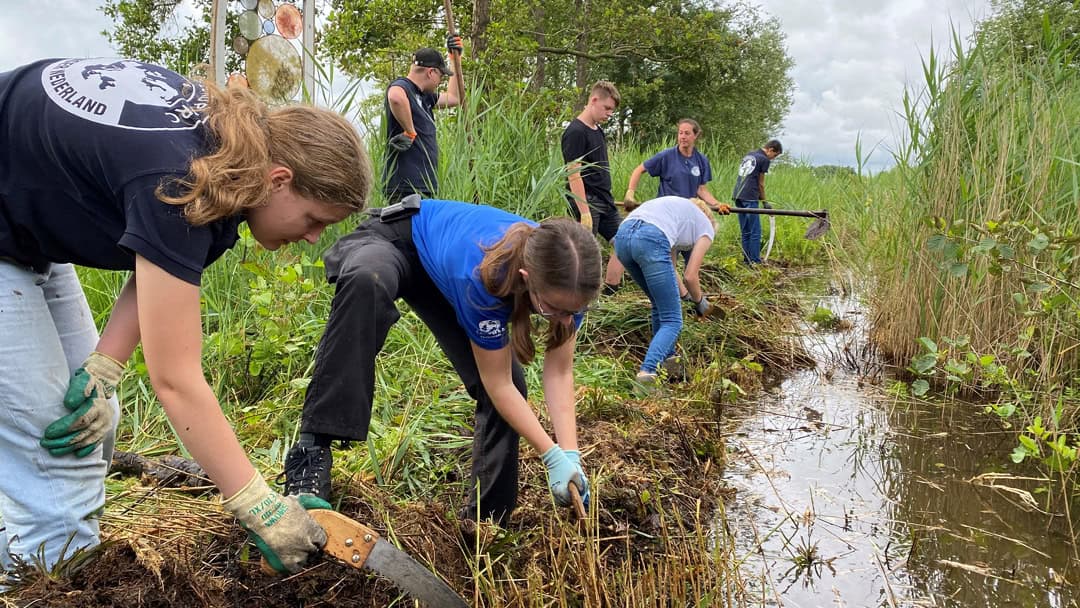 Exoten uit de sloten