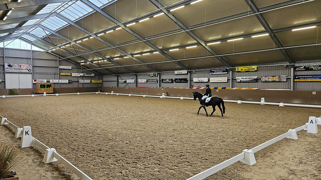 Rijvereniging Steenwyck start indoorseizoen met drie dagen dressuur
