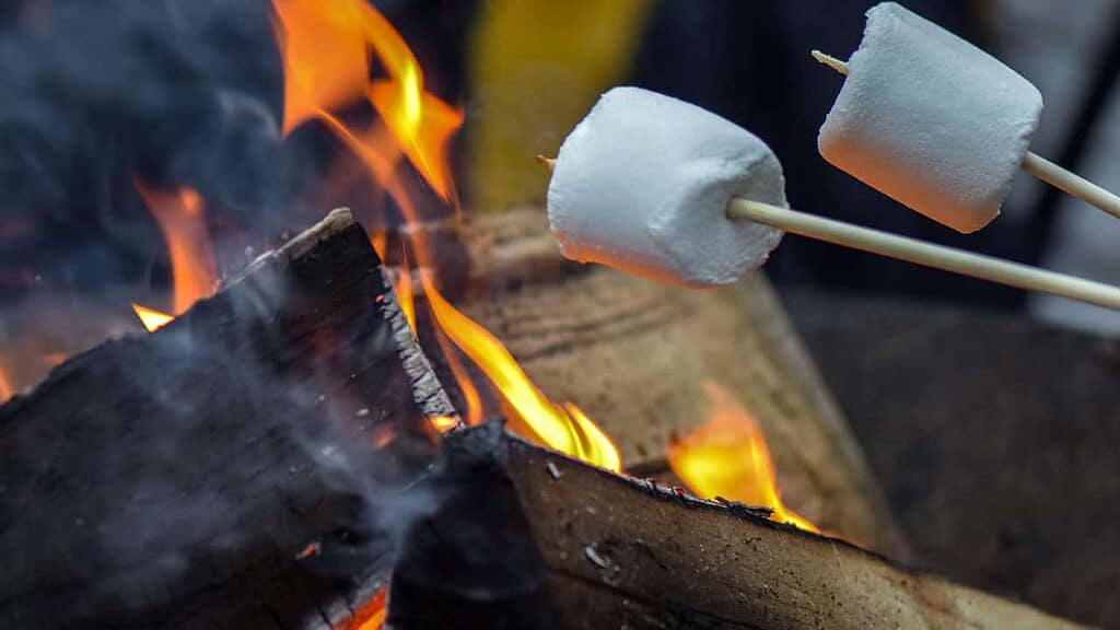 Kopwijzer zaterdag 5 april 2025