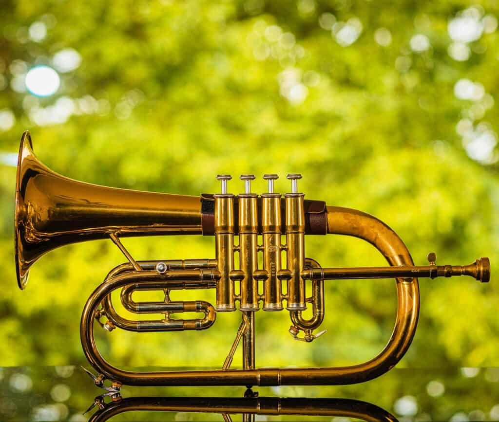 Kopwijzer zaterdag 10 mei 2025