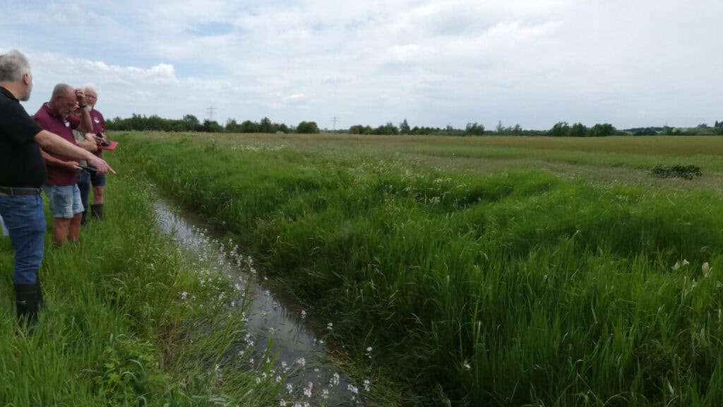 Excursie Wat leeft er in en om de boerensloot?