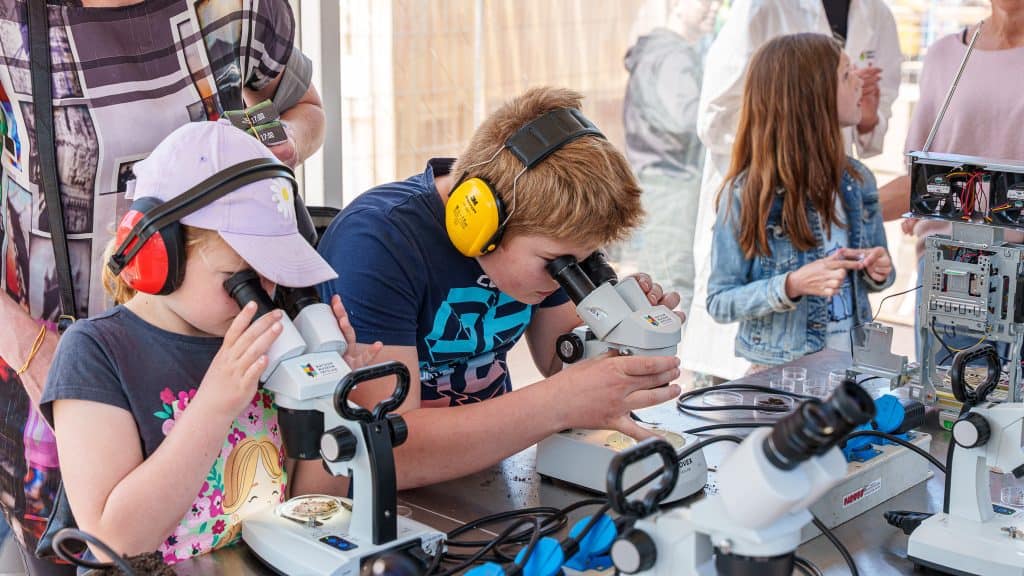 Zomer vol creativiteit bij Arcadia Jong in Leeuwarden