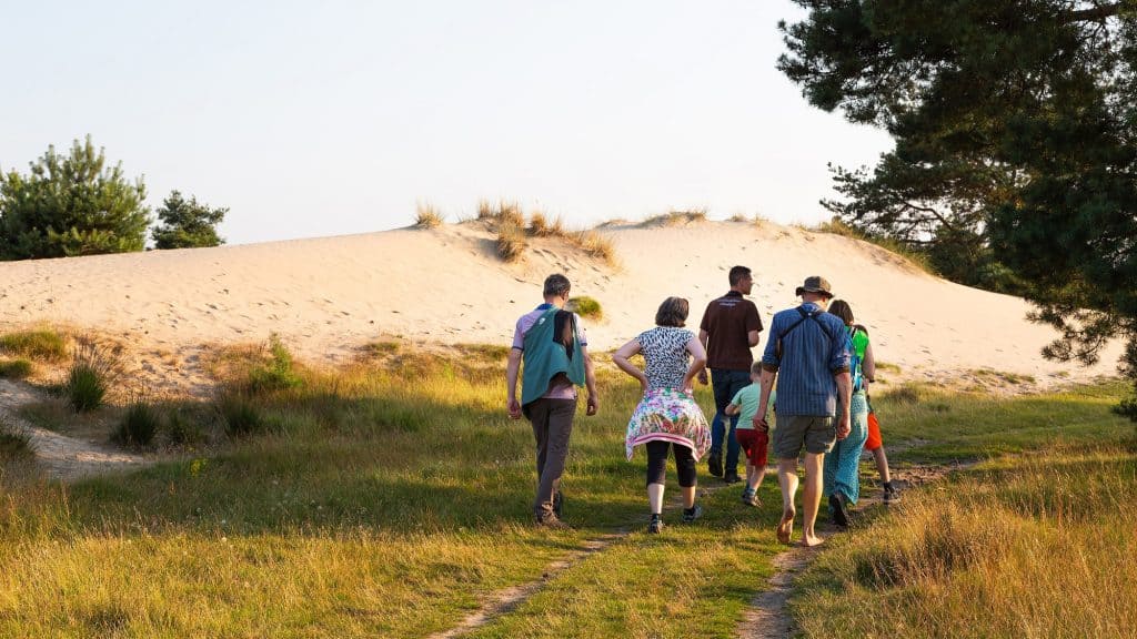 Zomeravondwandeling over het Aekingerzand: ontdek de ‘Kale Duinen’ bij zonsondergang