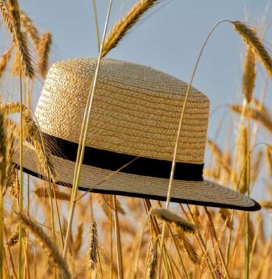zomer zomer