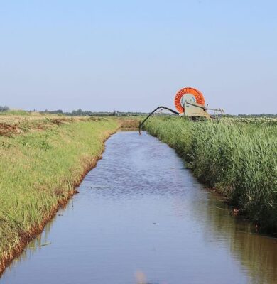 Beregenen uit de sloot WDODelta-gebied foto aangeleverd
