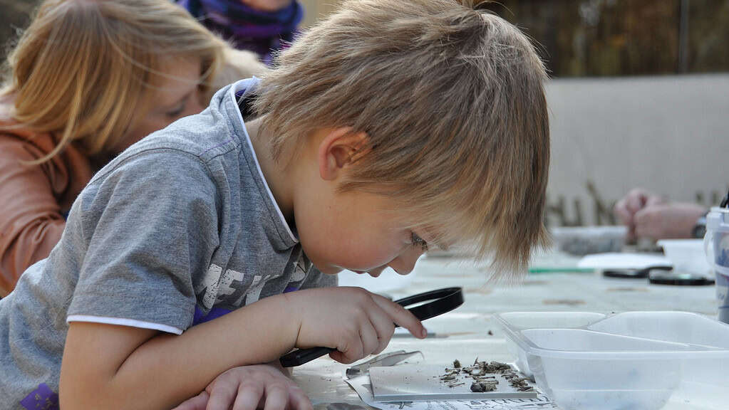 Braakballen pluizen voor jonge onderzoekers
