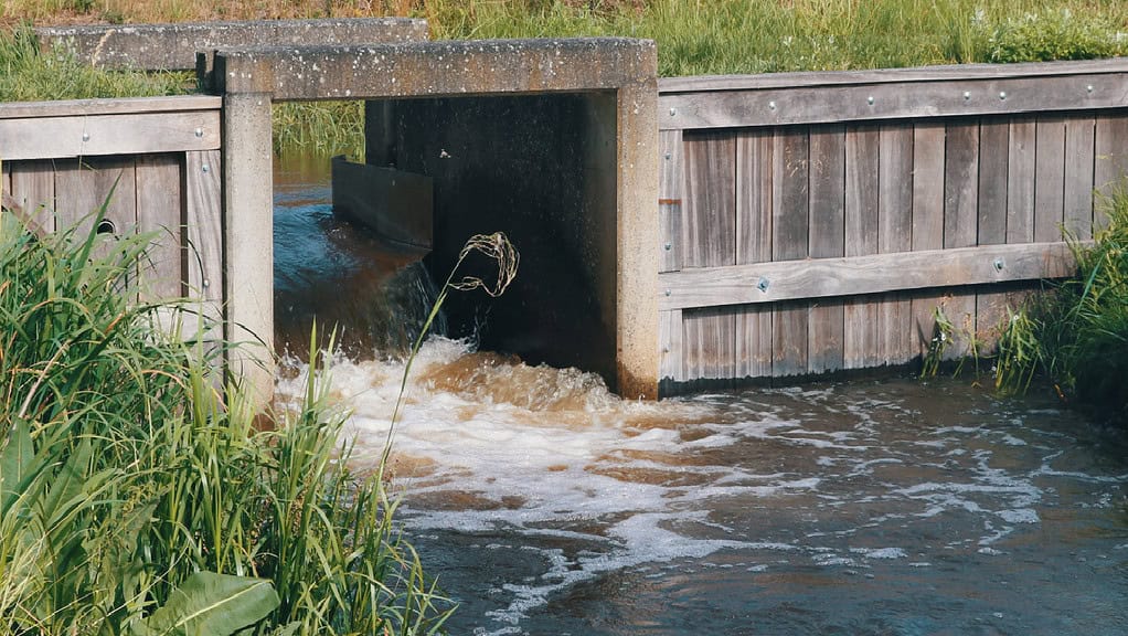 Hulde aan de neerslag: niet te droog én niet te nat