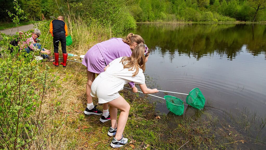 Ontdek de (w)onderwaterwereld tijdens de Waterdierensafari in het Drents-Friese Wold