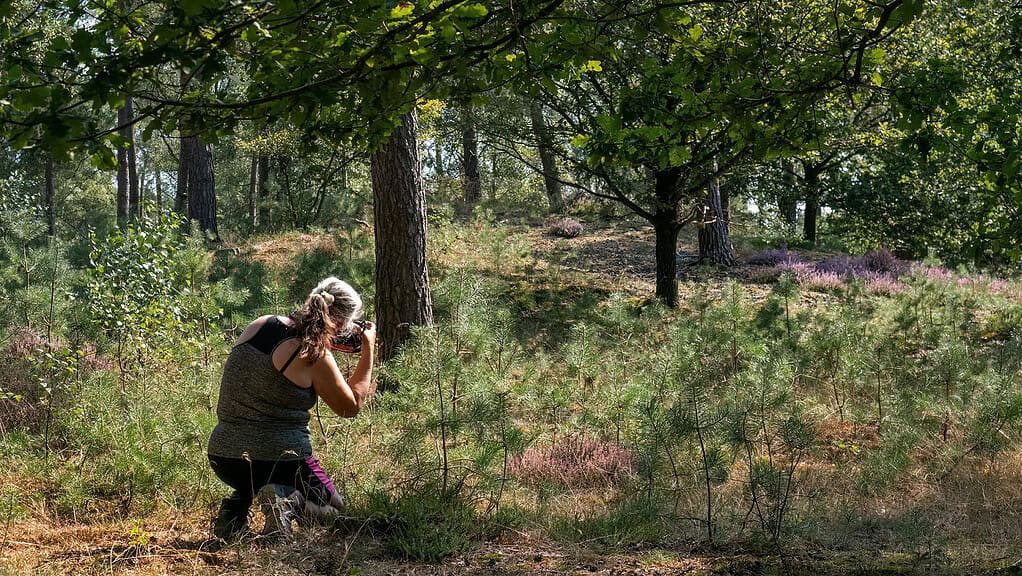 Workshop fotografie ‘Natuurbeleving door de lens’