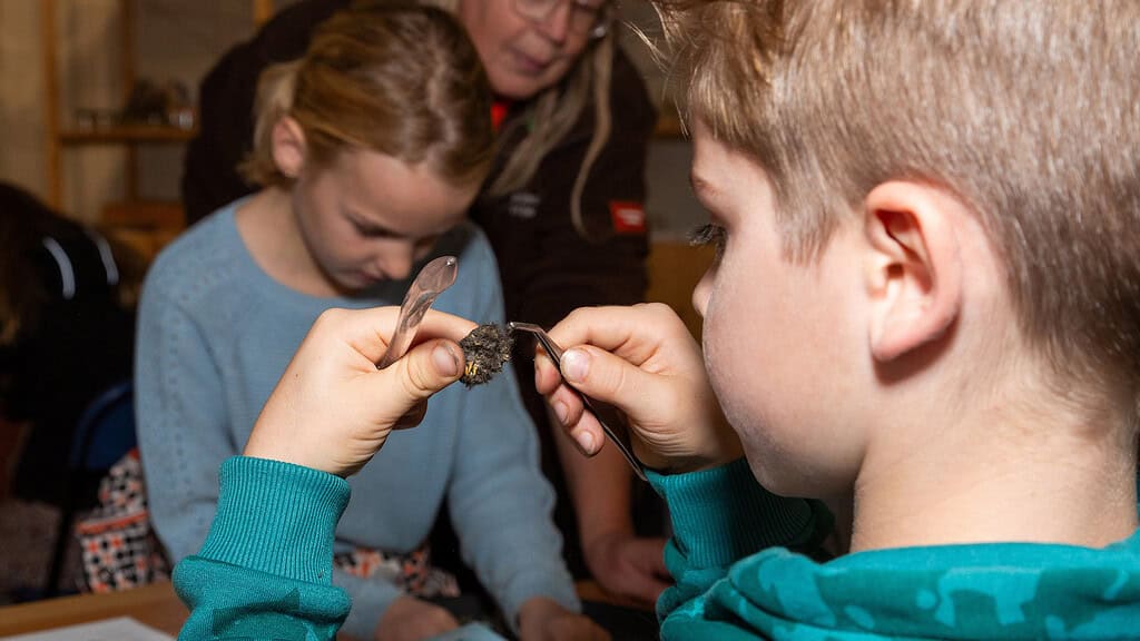 Word een echte natuurdetective: pluizen in het Boswachterslab!