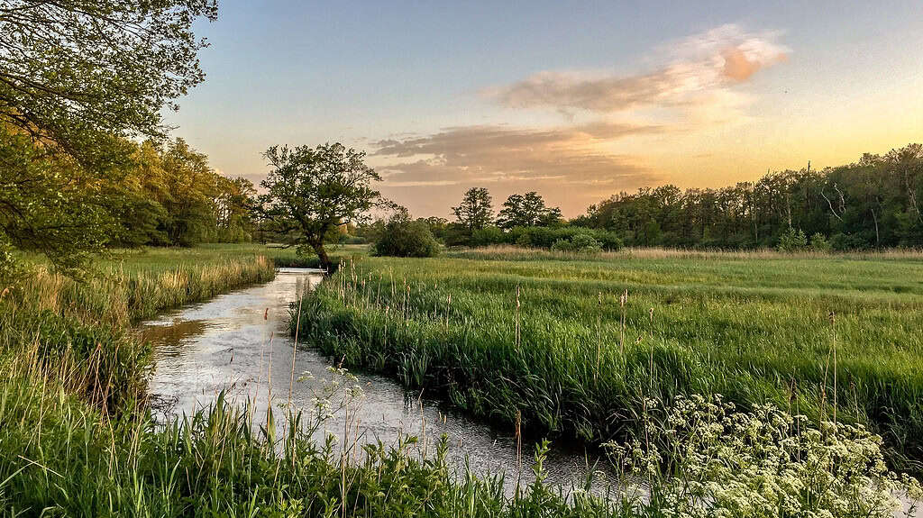 Ontdek de verborgen natuurparels van de Drentsche Aa