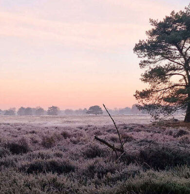 Drentsche Aa herfst groote zand - Foto NP