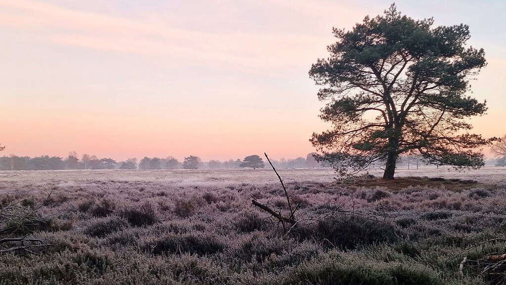 Beleef het Ballooërveld